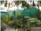 2 Swan Street – SWAMP NURSERY, Slade Point QLD 4740