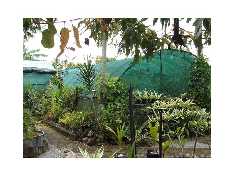 2 Swan Street – SWAMP NURSERY, Slade Point QLD 4740