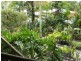 2 Swan Street – SWAMP NURSERY, Slade Point QLD 4740
