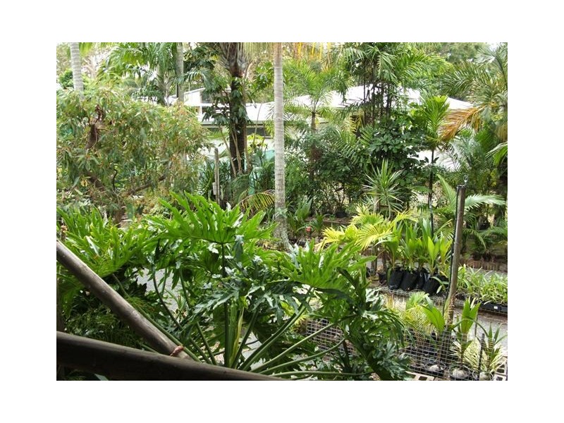 2 Swan Street – SWAMP NURSERY, Slade Point QLD 4740