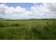 31 Kennedy Street, Walkerston QLD 4751