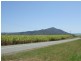 Lot 1 Mackay – Eungella Road, Pinnacle QLD 4741