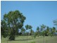 162 Haliday Bay Road, Haliday Bay QLD 4740