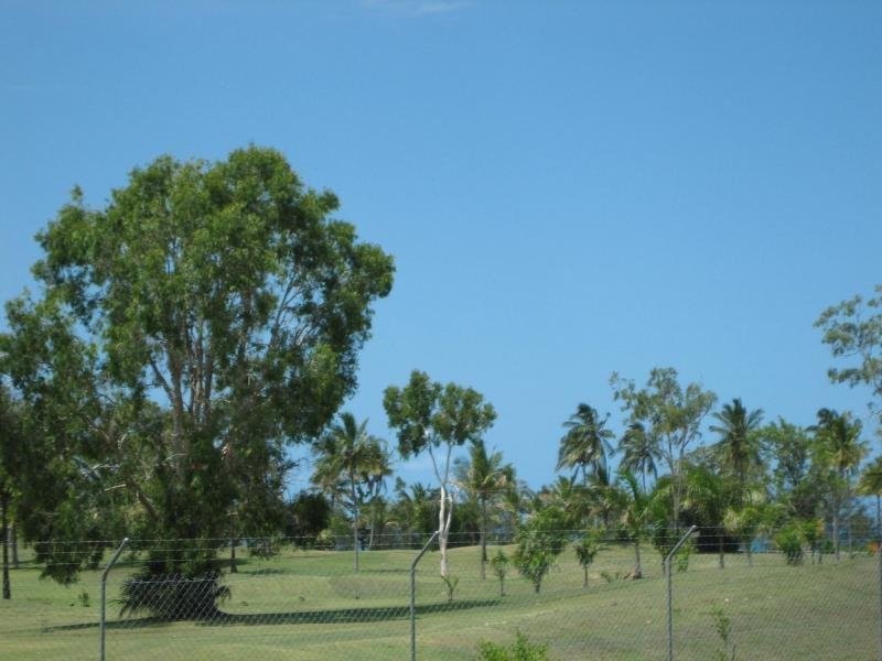 162 Haliday Bay Road, Haliday Bay QLD 4740