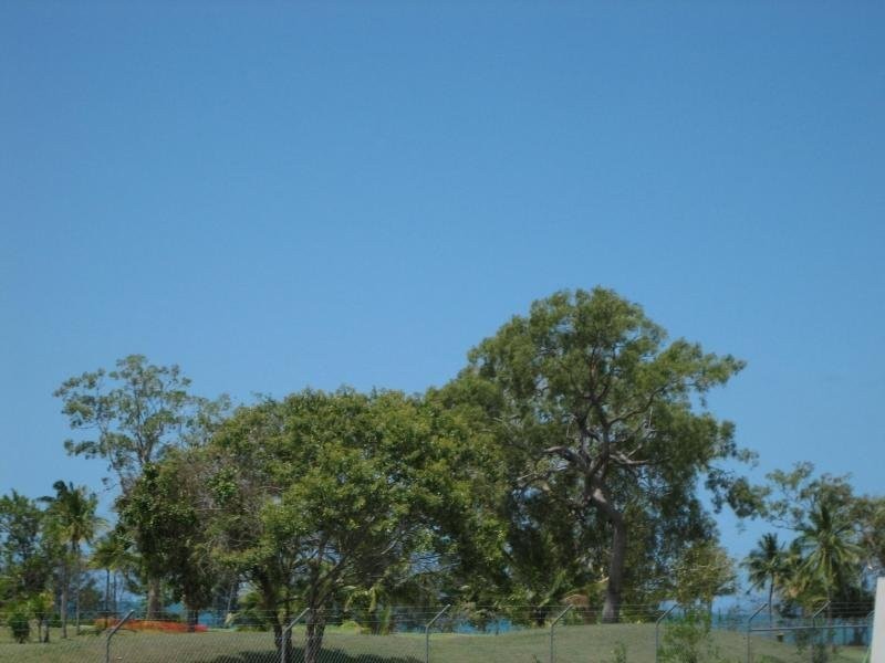 162 Haliday Bay Road, Haliday Bay QLD 4740