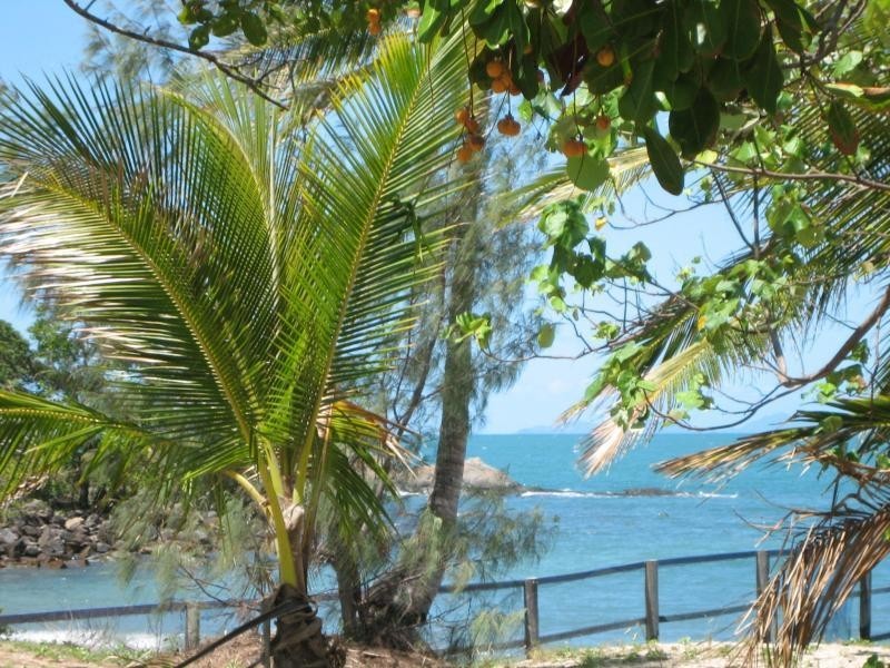 162 Haliday Bay Road, Haliday Bay QLD 4740