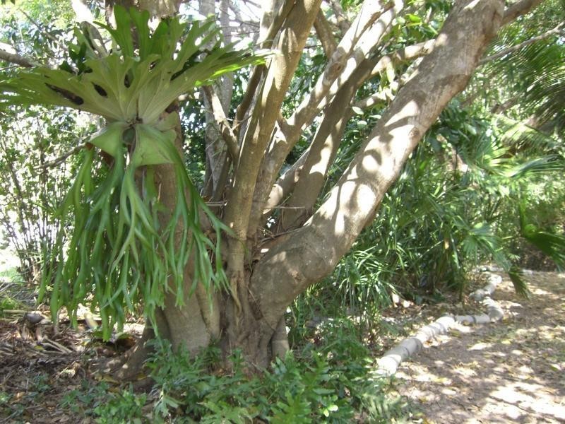 685 Hay Point Road, Hay Point QLD 4740