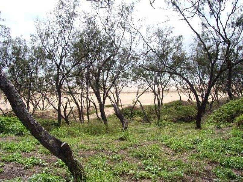 143 Rasmussen Avenue, Salonika Beach QLD 4740