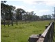 386 Stannix Park Road, Ebenezer NSW 2756