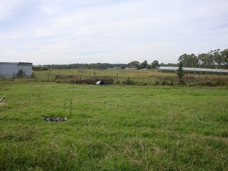 116 Pitt Town Road, Mcgraths Hill NSW 2756