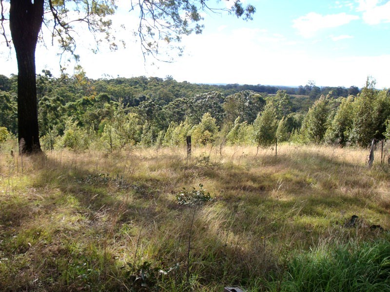 Colo Heights NSW 2756