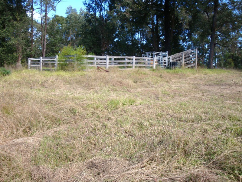 Colo Heights NSW 2756