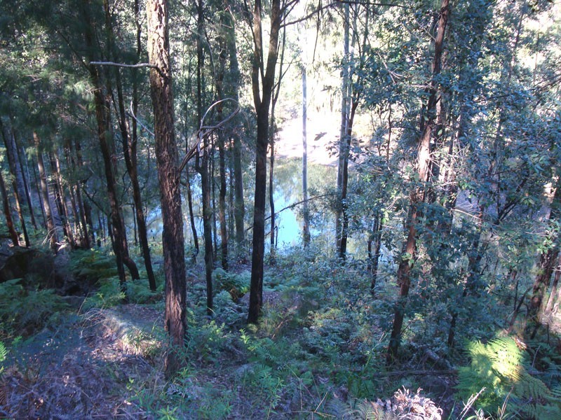 Colo Heights NSW 2756