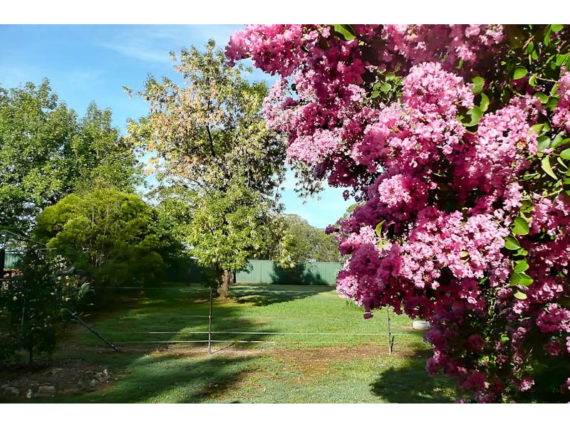 South Windsor NSW 2756