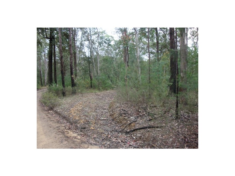 Colo Heights NSW 2756