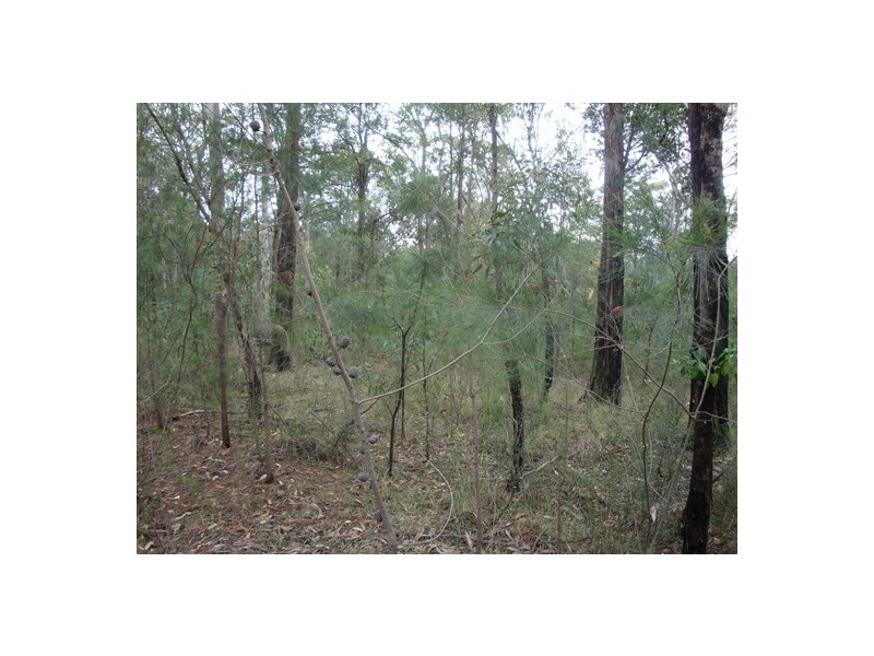 Colo Heights NSW 2756