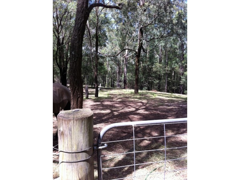 Colo Heights NSW 2756