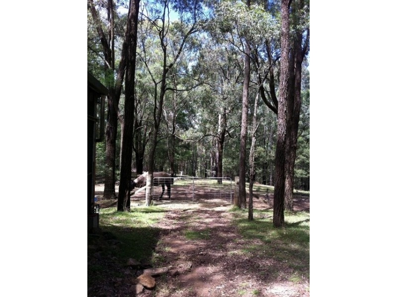 Colo Heights NSW 2756