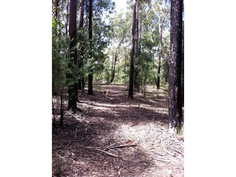 Colo Heights NSW 2756