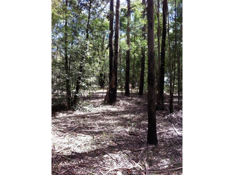 1221 Wheelbarrow Ridge Rd, Colo Heights NSW 2756