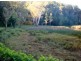 187B Upper Colo Rd, Wheeny Creek NSW 2758