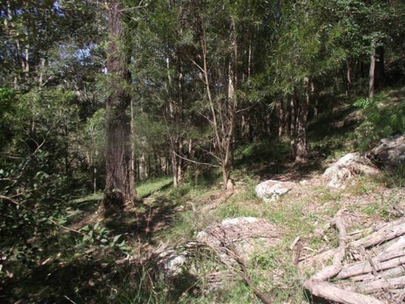 187B Upper Colo Rd, Wheeny Creek NSW 2758