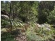187B Upper Colo Rd, Wheeny Creek NSW 2758