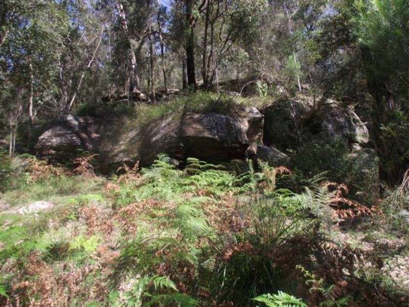 187B Upper Colo Rd, Wheeny Creek NSW 2758