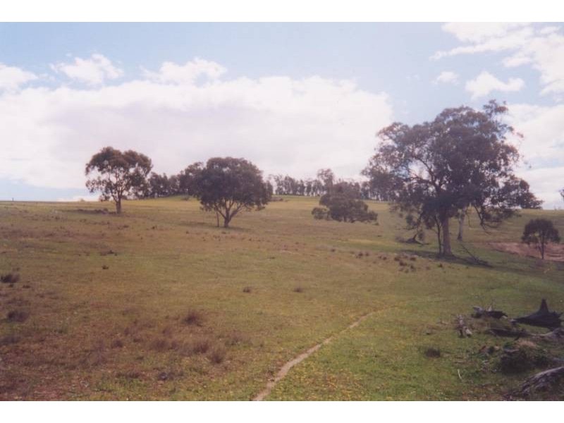 336 Horton Drive, Woodstock NSW 2538