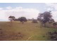 324 Horton Drive, Woodstock NSW 2538