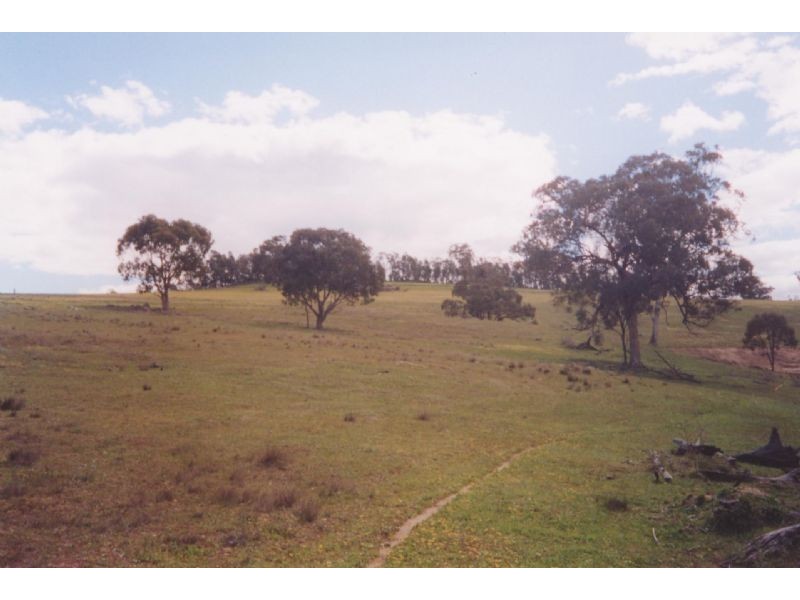324 Horton Drive, Woodstock NSW 2538