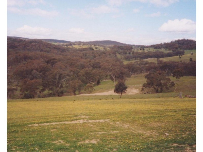 324 Horton Drive, Woodstock NSW 2538
