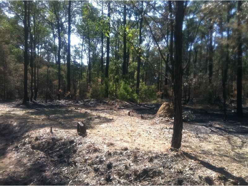 144 Sheredan Road, Castlereagh NSW 2749