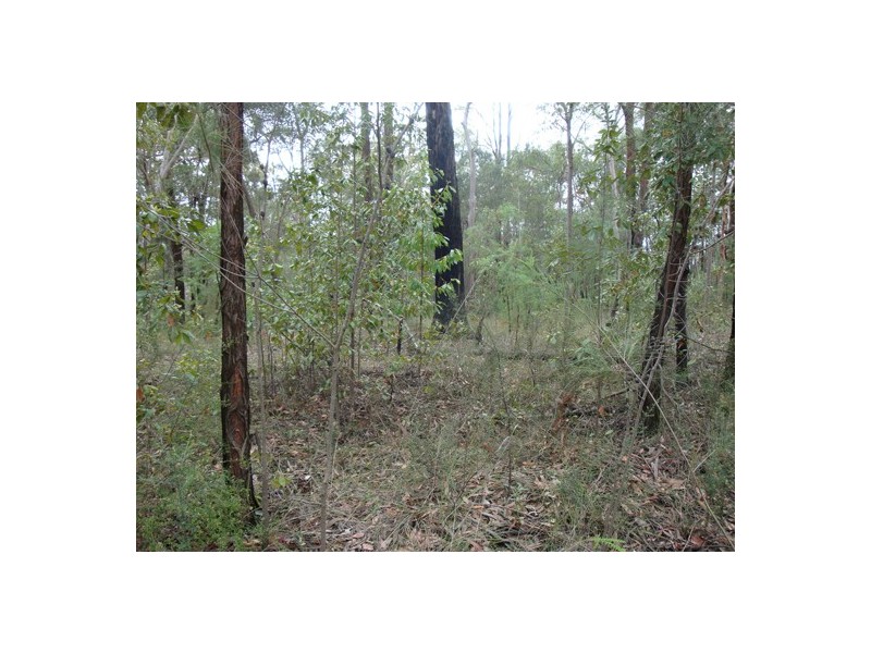 1221 Wheelbarrow Ridge Rd, Colo Heights NSW 2756