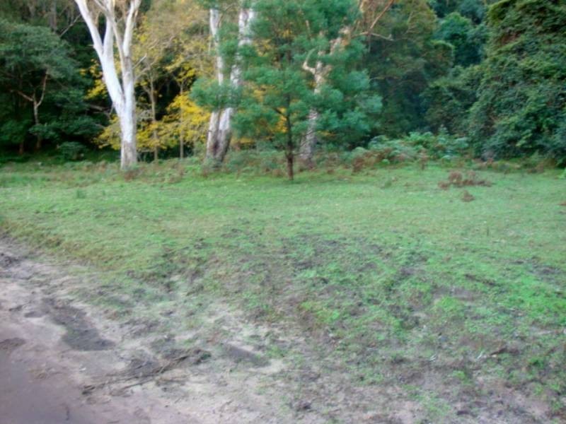187B Upper Colo Rd, Wheeny Creek NSW 2758