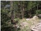 187B Upper Colo Rd, Wheeny Creek NSW 2758