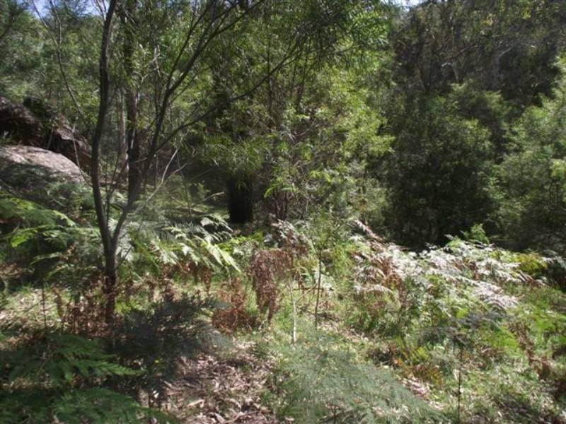 187B Upper Colo Rd, Wheeny Creek NSW 2758