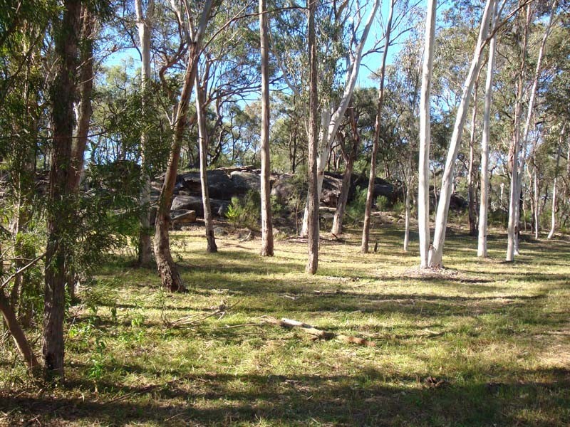35 Kamrock Grove, Wilberforce NSW 2756