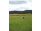 420 Putty Valley Road, Putty NSW 2330