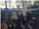 254 Settlers Road, Lower Macdonald NSW 2775