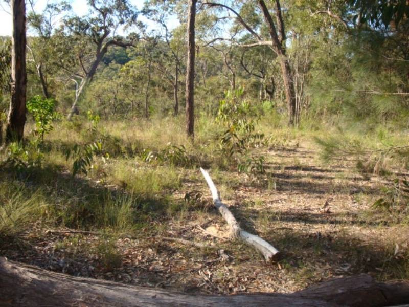 1201 Wheelbarrow Ridge Rd, Colo Heights NSW 2756