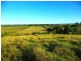Lot 14 Hibberts Lane, Freemans Reach NSW 2756