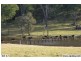 Sackville NSW 2756