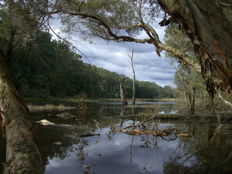 Sackville NSW 2756