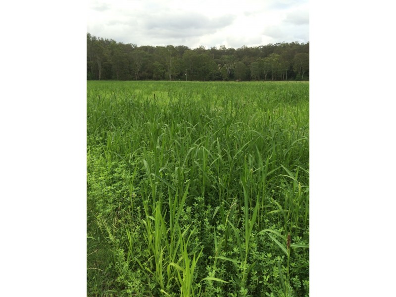 30 Tuckerman Road, Ebenezer NSW 2756