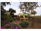 14 CYCAD COURT, Moore Park Beach QLD 4670