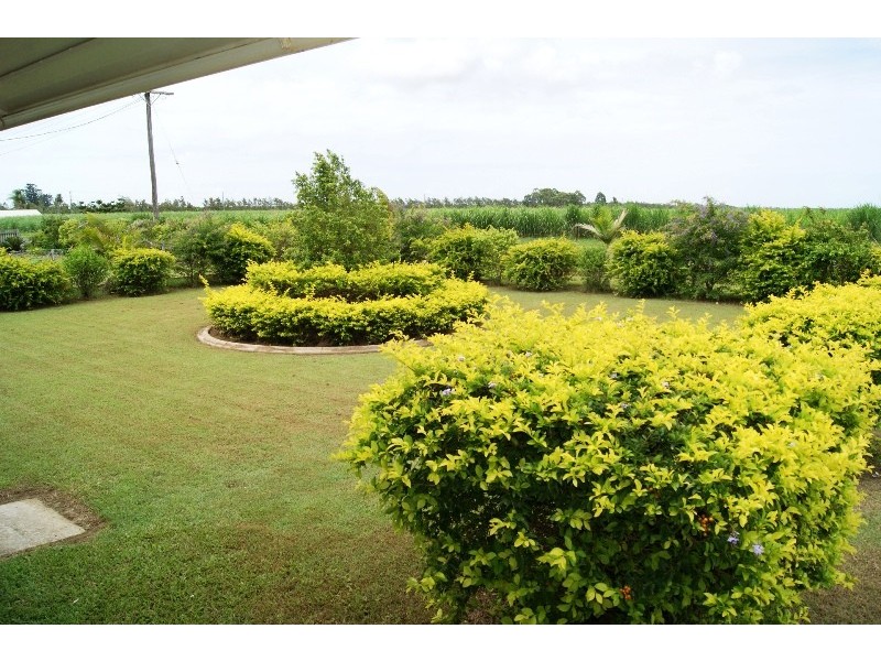 892 MOORE PARK ROAD, Welcome Creek QLD 4670