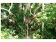 38 LAGOON DRIVE, Moore Park Beach QLD 4670