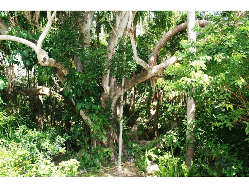 38 LAGOON DRIVE, Moore Park Beach QLD 4670
