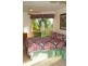 Apple Tree Creek QLD 4660